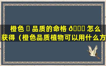 橙色 ☘ 品质的命格 💐 怎么获得（橙色品质植物可以用什么方式获得）